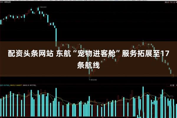 配资头条网站 东航“宠物进客舱”服务拓展至17条航线