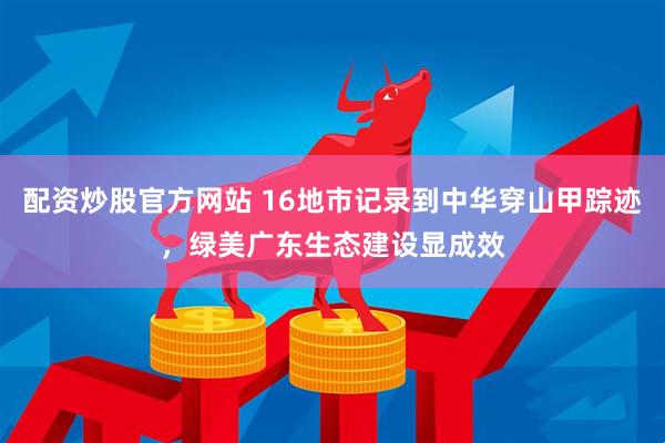 配资炒股官方网站 16地市记录到中华穿山甲踪迹，绿美广东生态建设显成效