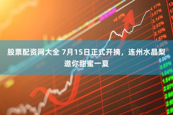 股票配资网大全 7月15日正式开摘，连州水晶梨邀你甜蜜一夏